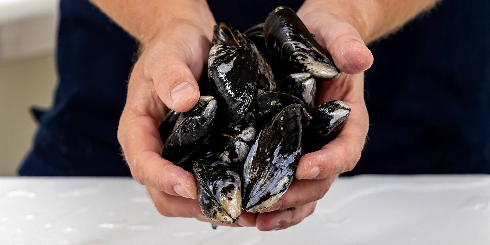 Musslor Skaldjursskolan