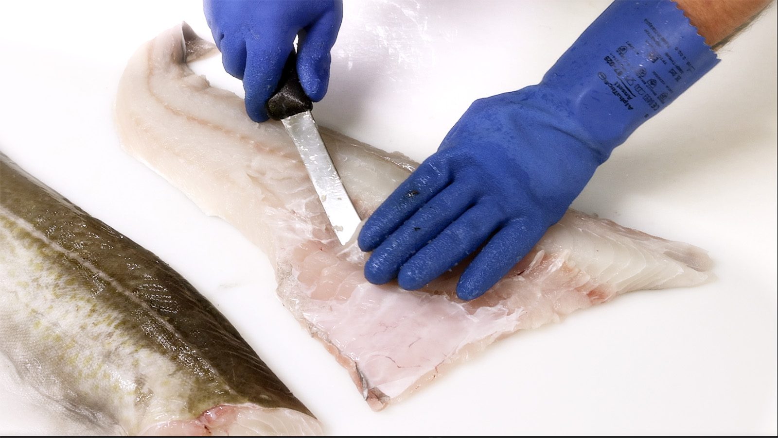 Filea rundfisk steg 1