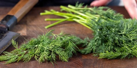 Food hacks skära dill