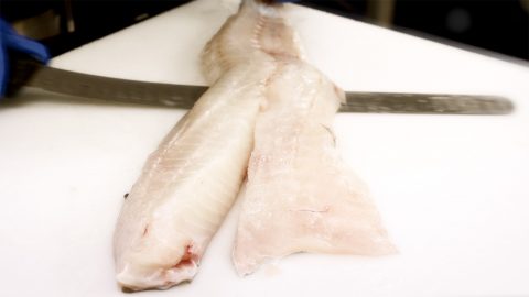 Filea rundfisk steg 4
