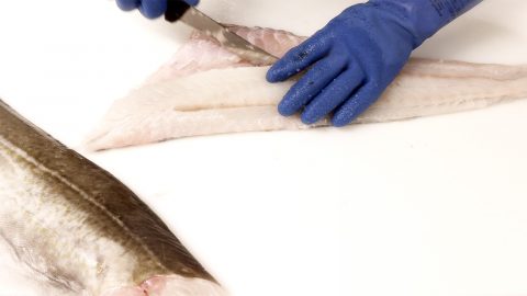 Filea rundfisk steg 3